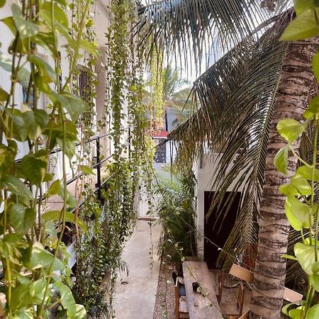 Anana Coliving Hotel Playa del Carmen Exterior foto