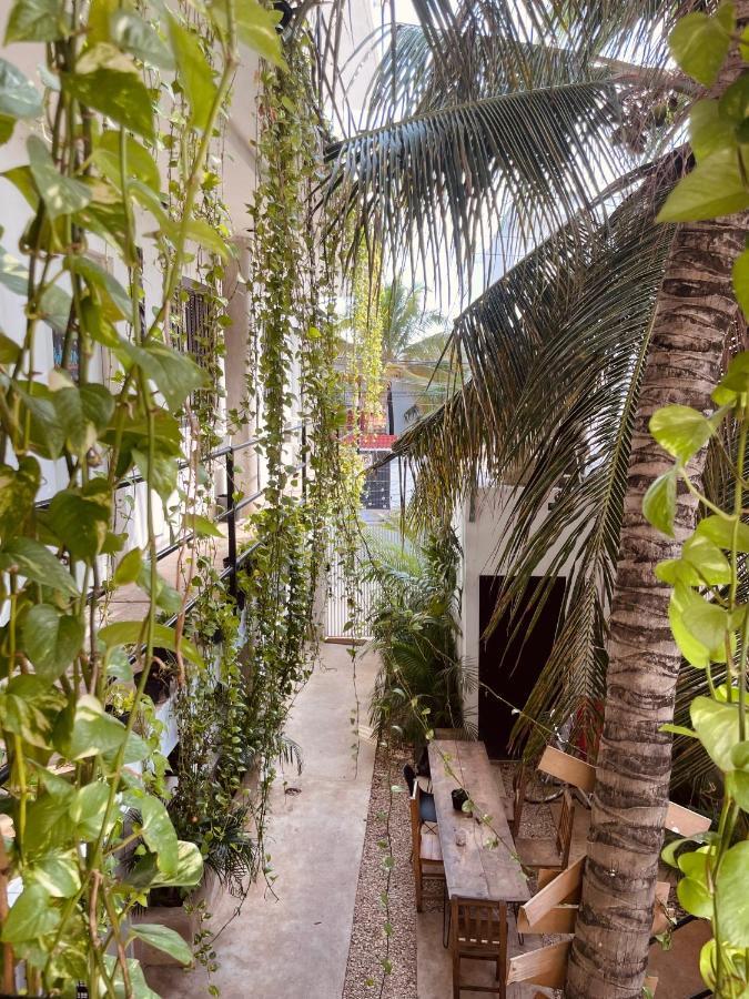 Anana Coliving Hotel Playa del Carmen Exterior foto